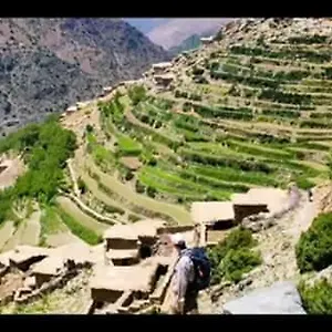 تحقق من التوفر